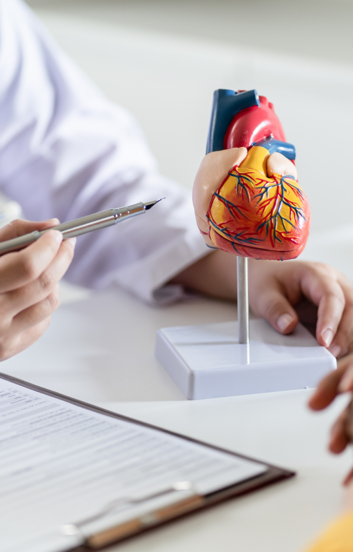 Cardiologie 🫀