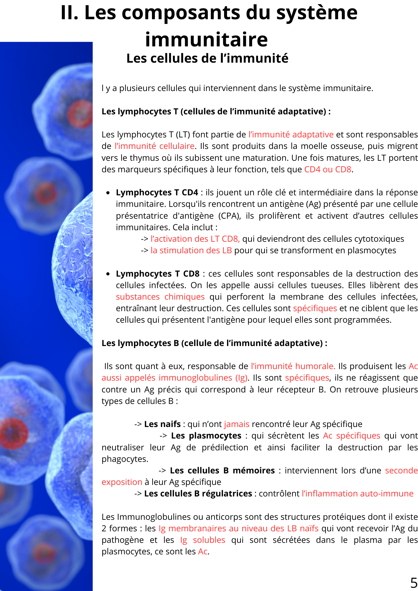 Ebook Hématologie