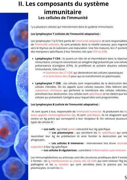 Ebook Hématologie